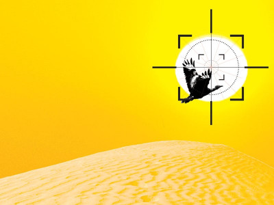 caught in the act bird hunters arrested for possession of partridges quails