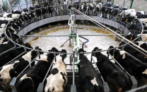china hits eu dairy with tariffs