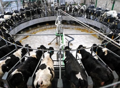 china hits eu dairy with tariffs