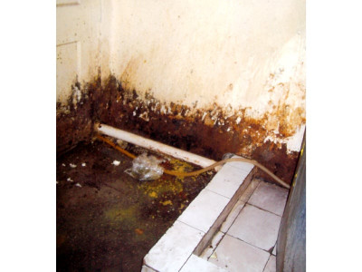 healthcare the unholy look of holy family hospital