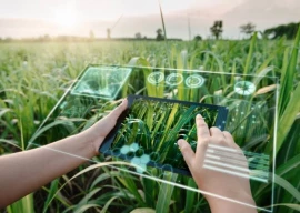 the new agriculture frontier