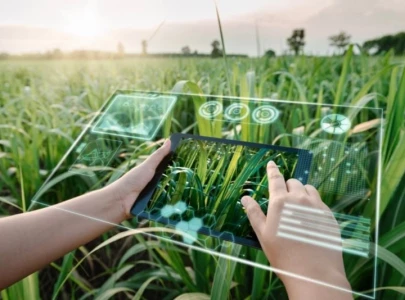 the new agriculture frontier