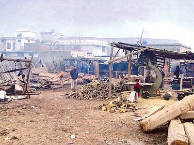 chilly weather firewood price jumps fuelled by high lpg rates