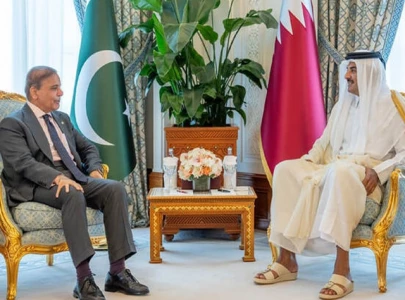 qatari pm praises pak efforts for peace qatari pm praises pak efforts for peace