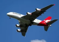 flight diverted after man bites attendant