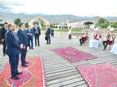 zardari begins kyrgyzstan state visit zardari begins kyrgyzstan state visit
