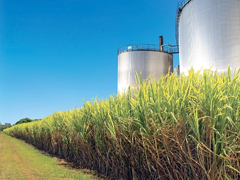 sugarcane growers are unwilling to sell their crops on credit after some of the sugar mill owners have yet to clear their dues pertaining to the previous year photo file