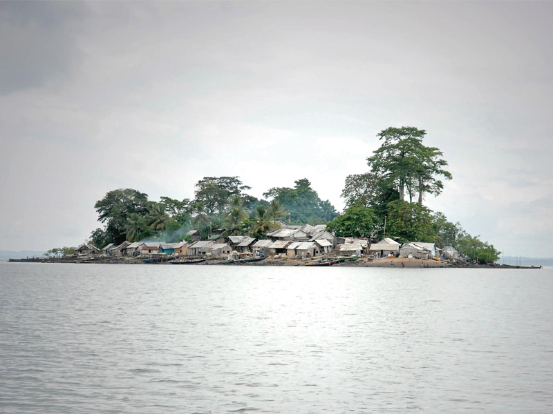 the author suggests that other than planting more mangroves in the sea the reasons for its decline including pollution human exploitation and lack of fresh water must also be addressed photo file