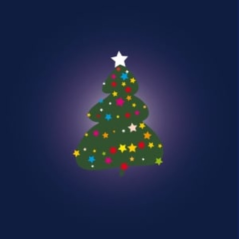 the pgmi and lgh administration will arrange a christmas celebration with a cake said prof vohra the pgmi and lgh administration will arrange a christmas celebration with a cake said prof vohra