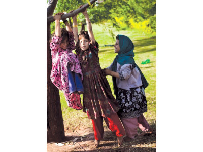 one in three kids have no birth certificate un