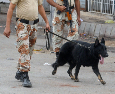 not the militant s best friend bdu to take special care of sniffer dogs not the militant s best friend bdu to take special care of sniffer dogs