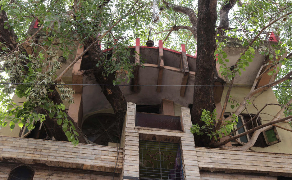 Indian residents walk along a road past the house of the Kesharwani family, which was built around a peepal tree (sacred fig tree), in Jabalpur, in the Indian state of Madhya Pradesh. Photo: Reuters