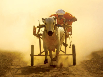 surrealistic sublime defined through camera lens surrealistic sublime defined through camera lens