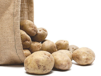 34 growers selected for global gap certification 34 growers selected for global gap certification