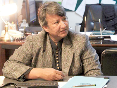 art culture nca caught between a rock and a hard place