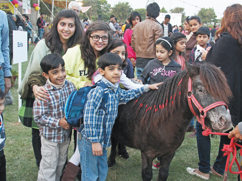 the miniature pony blue jeans was among the participants at the pet show on sunday photos ayesha mir express