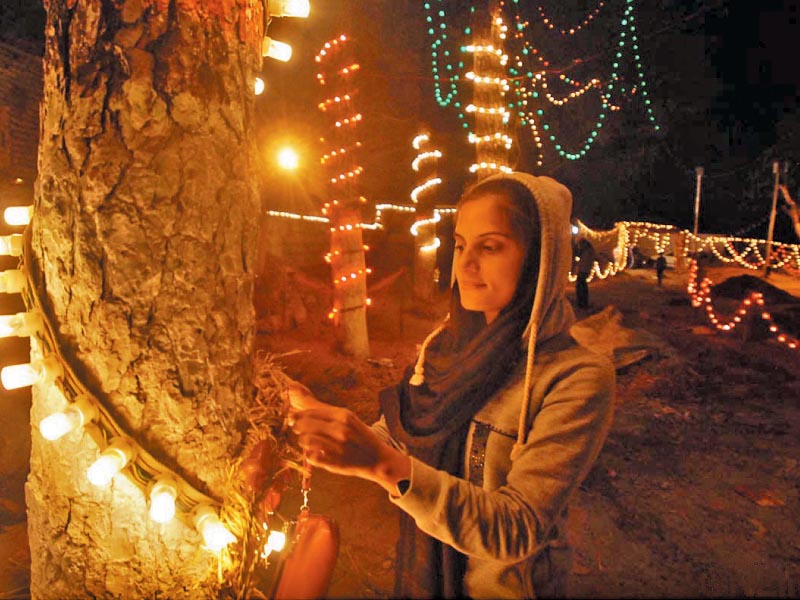 a girl festoons the trees of a slum area in islamabad with lights photo online