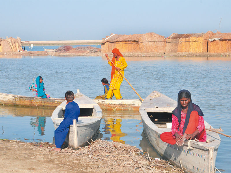 manchar lake one of asia s largest freshwater lakes has turned poisonous because of the drainage water flowing into it fishermen s families have been forced to migrate from the area and those that remain have been deprived of their livelihood because of the deteriorating condition of the lake photo courtesy pakistan relief foundation