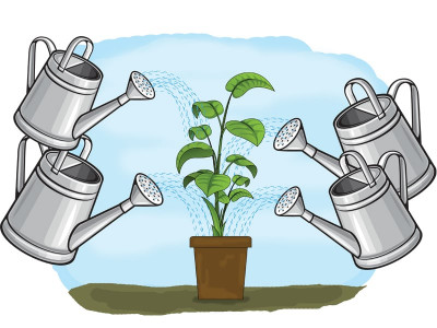 borrowing from sbp shrinks as government turns to commercial banks