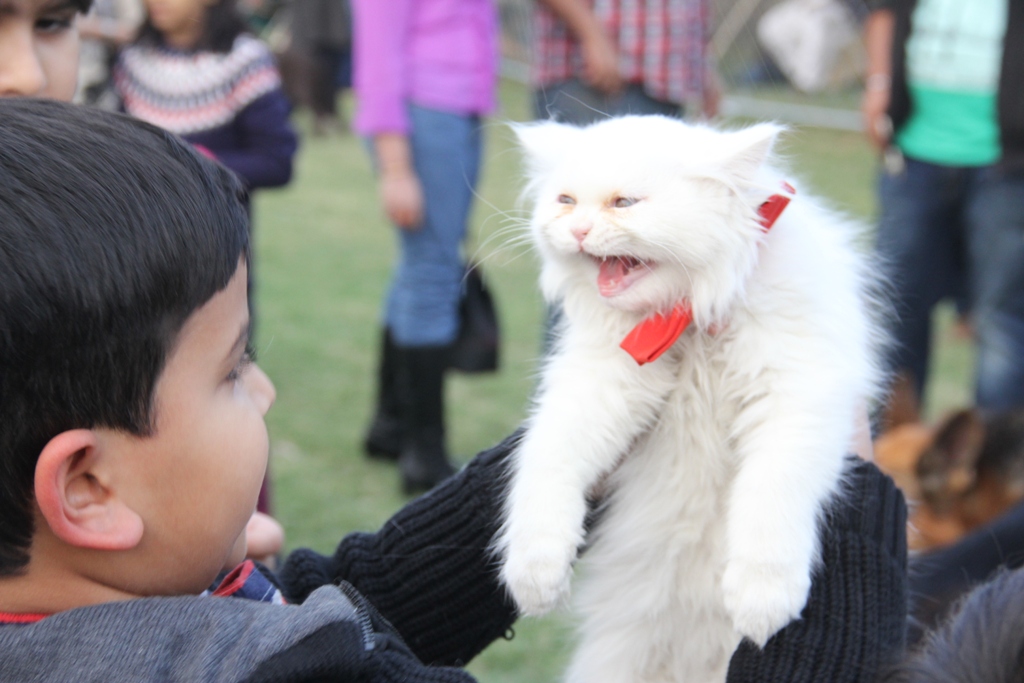 Updated Dec 26, 2013