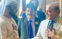 uae pakistan discuss delivery of food items