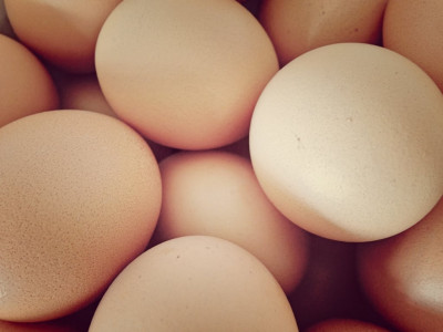 importance of egg in diet highlighted importance of egg in diet highlighted