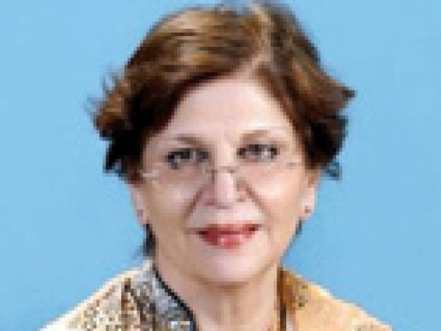 the governments are lacking commitment in pursuing children specific programmes sahil executive director manizeh bano the governments are lacking commitment in pursuing children specific programmes sahil executive director manizeh bano