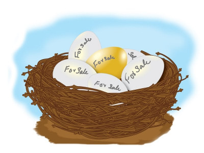 privatisation a bold step but companies must have been carefully selected privatisation a bold step but companies must have been carefully selected