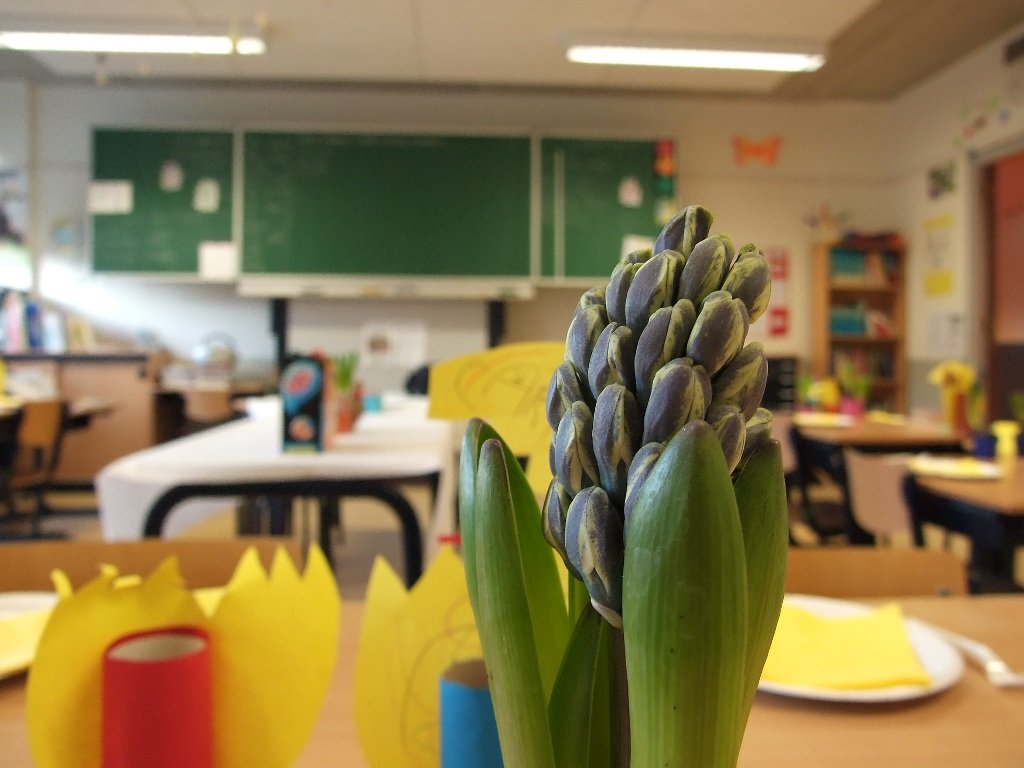 teachers profiles affect students outcomes photo file