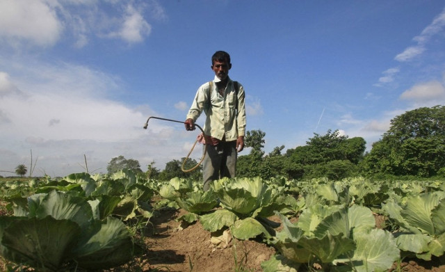 a farmer spraying fertilizer on a field photo reuters