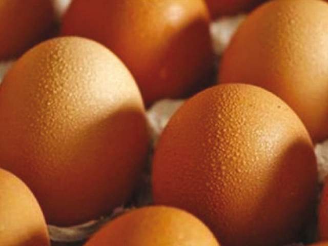 uae had earlier placed a ban on the import of poultry products from pakistan on account of the eruption of bird flu disease photo file uae had earlier placed a ban on the import of poultry products from pakistan on account of the eruption of bird flu disease photo file