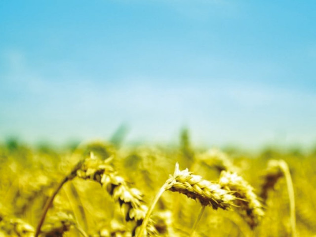 the objective is to boost crop production in pakistan the objective is to boost crop production in pakistan