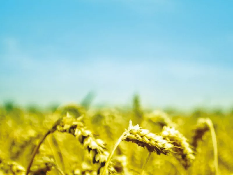the objective is to boost crop production in pakistan the objective is to boost crop production in pakistan