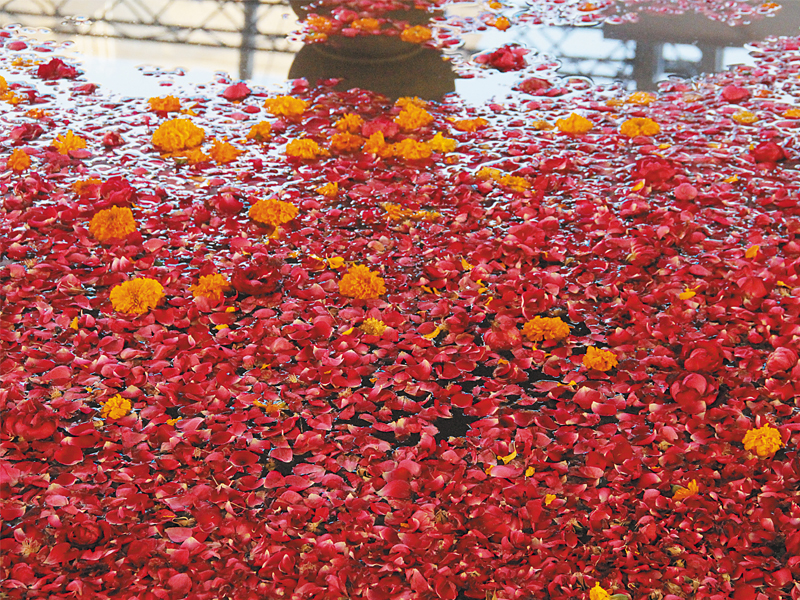 at the centre of the frere hall setting for the south asian cities conference was a fountain strewn with rose petals an apt choice given how shahid abdulla remarked during one of the last sessions how you can tell a city by its khushboo