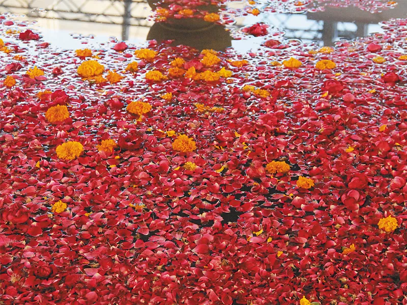 at the centre of the frere hall setting for the south asian cities conference was a fountain strewn with rose petals an apt choice given how shahid abdulla remarked during one of the last sessions how you can tell a city by its khushboo at the centre of the frere hall setting for the south asian cities conference was a fountain strewn with rose petals an apt choice given how shahid abdulla remarked during one of the last sessions how you can tell a city by its khushboo