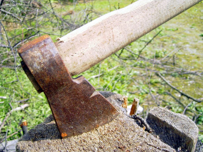 deranged man uncle allegedly beheads 5 year old niece