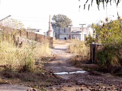 a curious case of complacency islamabad cultural complex hosting bacterial cultures