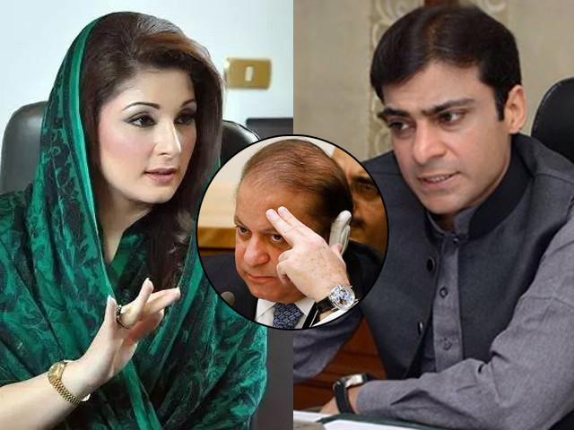if hamza plays his cards right he can easily oust maryam and become the future of pml n if hamza plays his cards right he can easily oust maryam and become the future of pml n