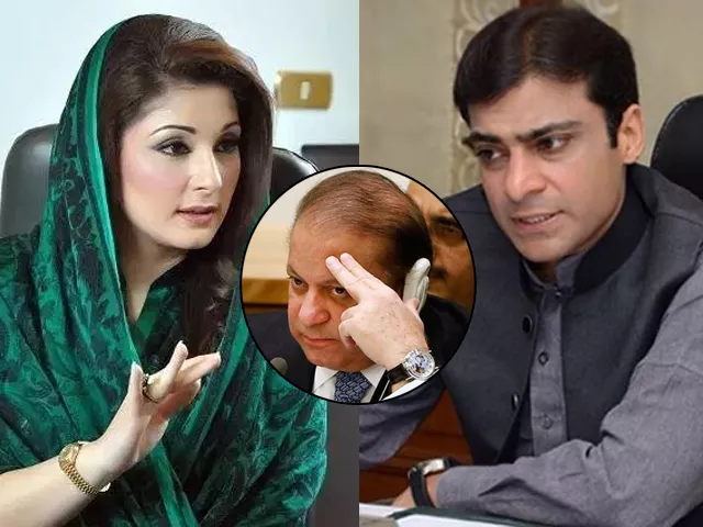 if hamza plays his cards right he can easily oust maryam and become the future of pml n if hamza plays his cards right he can easily oust maryam and become the future of pml n
