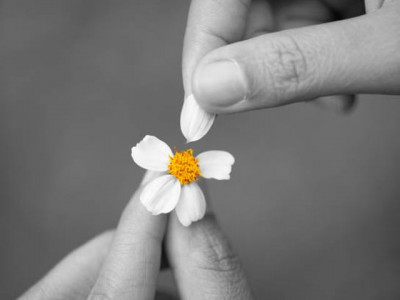 she was a precious little flower wilted and withered she was a precious little flower wilted and withered