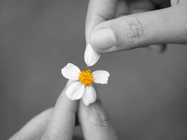 she was like the flower that she had just plucked from the flowerbed photo istock she was like the flower that she had just plucked from the flowerbed photo istock