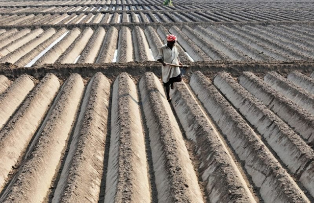 the agricultural productivity would significantly increase if proper water saving measures were adopted said uaf vice chancellor photo afp file