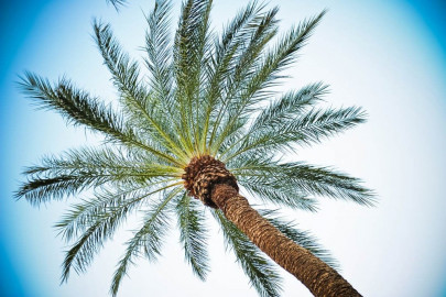 tapping business opportunities pakistan a key trading partner for malaysia