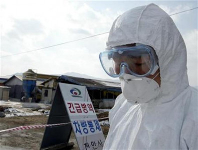 south korea on alert after bird flu confirmed
