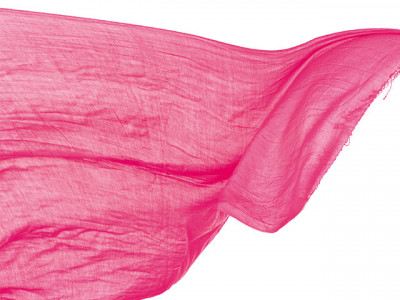 environmental preemption no shahtoosh in toosh collection shawls