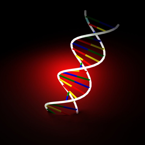 babar questions the declaration of dna tests as secondary evidence in rape cases photo file babar questions the declaration of dna tests as secondary evidence in rape cases photo file