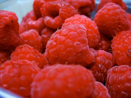 file photo of raspberries photo file