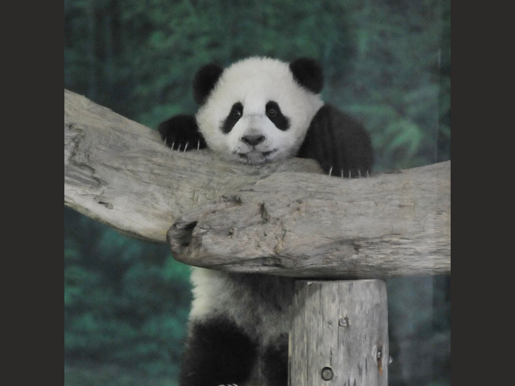 Updated Jan 21, 2014