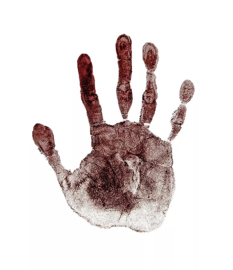 the bodies were dumped in bushes in the area photo file the bodies were dumped in bushes in the area photo file