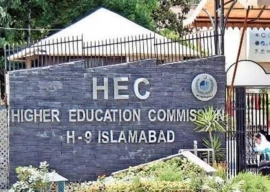 nadeem mahbub named acting hec chairman nadeem mahbub named acting hec chairman